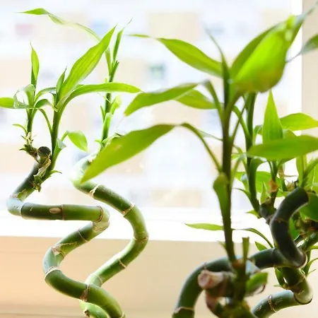 Appartement Sky View 3br + Near Airport + Free Parking